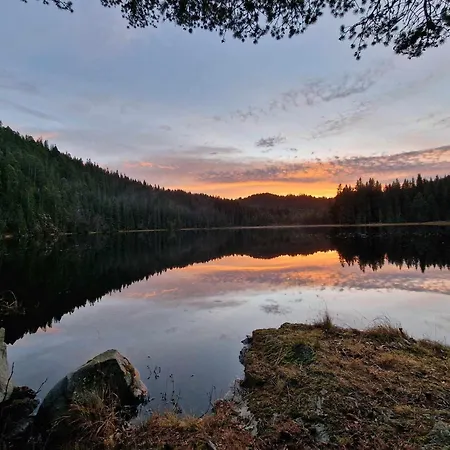 ヴィラ Stort Hus Med 2 Til Leie Pa Lundamo, Perfekt For Storre Grupper! *