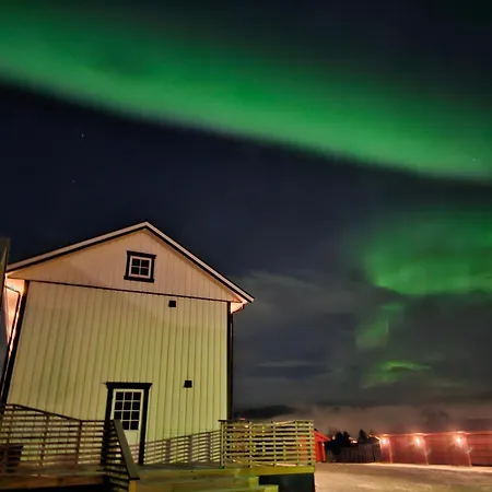 ヴィラ Stort Hus Med 2 Til Leie Pa Lundamo, Perfekt For Storre Grupper! Melhus